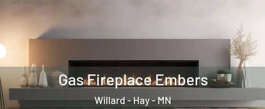 Gas Fireplace Embers Willard - Hay - MN