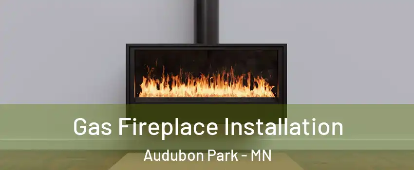 Gas Fireplace Installation Audubon Park - MN