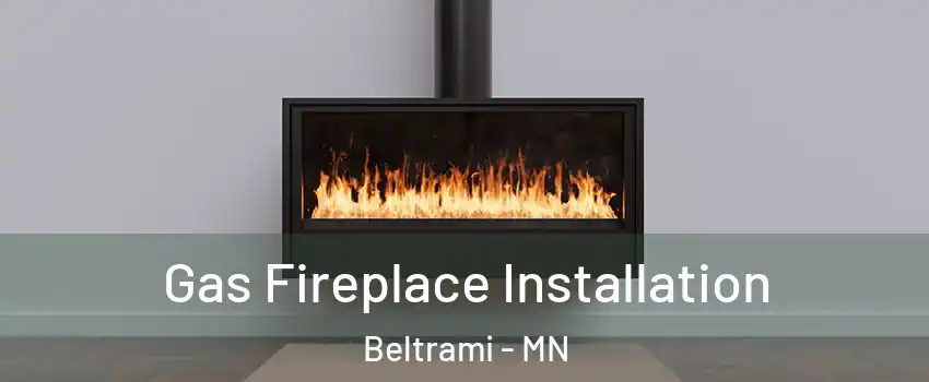 Gas Fireplace Installation Beltrami - MN