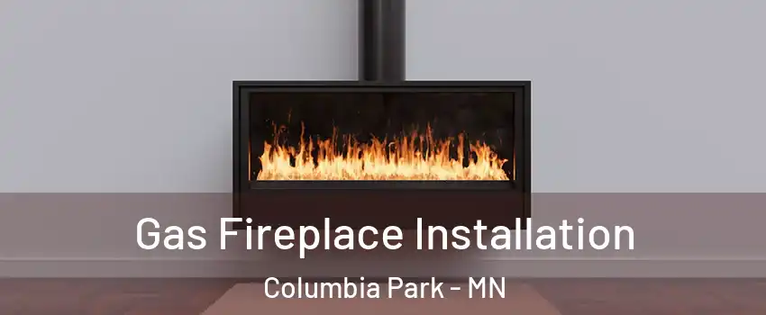 Gas Fireplace Installation Columbia Park - MN