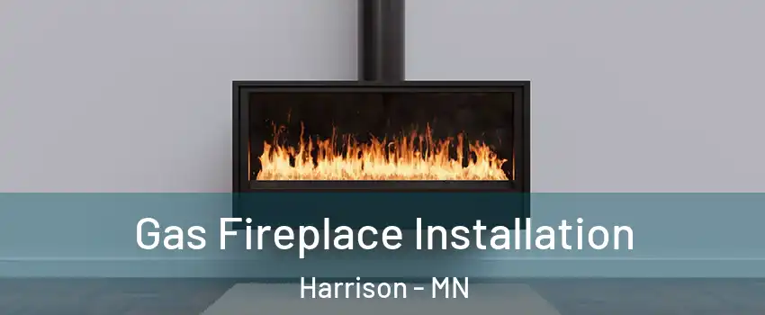 Gas Fireplace Installation Harrison - MN