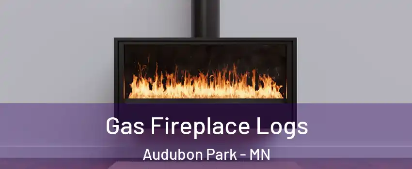 Gas Fireplace Logs Audubon Park - MN