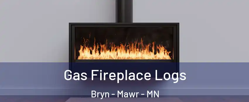 Gas Fireplace Logs Bryn - Mawr - MN