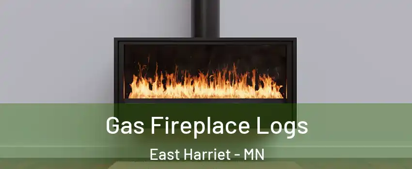 Gas Fireplace Logs East Harriet - MN