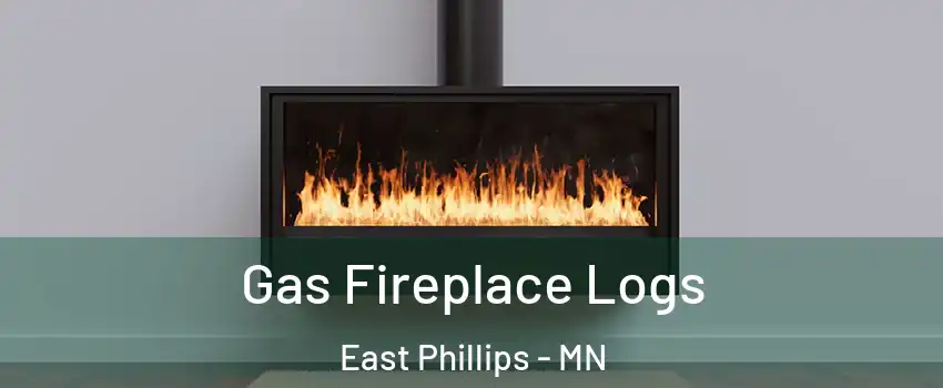 Gas Fireplace Logs East Phillips - MN