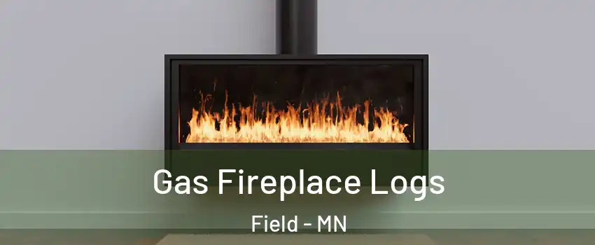 Gas Fireplace Logs Field - MN