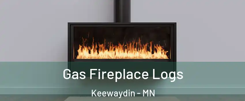 Gas Fireplace Logs Keewaydin - MN