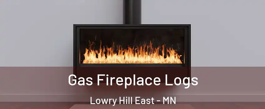 Gas Fireplace Logs Lowry Hill East - MN