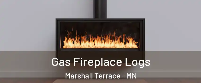 Gas Fireplace Logs Marshall Terrace - MN