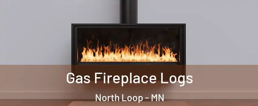 Gas Fireplace Logs North Loop - MN