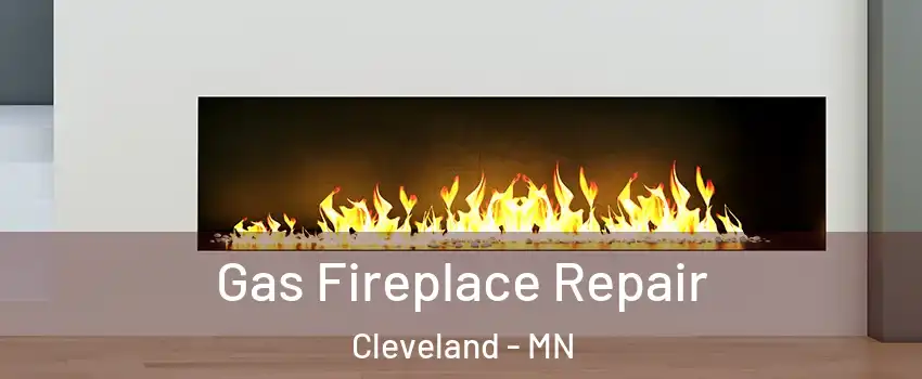 Gas Fireplace Repair Cleveland - MN