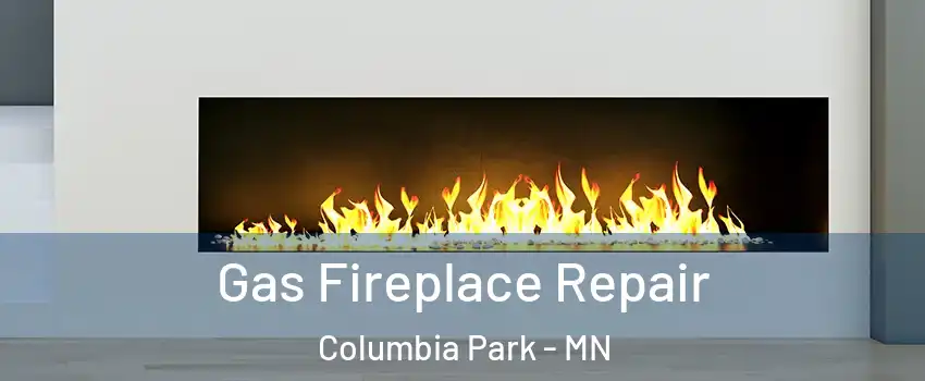 Gas Fireplace Repair Columbia Park - MN