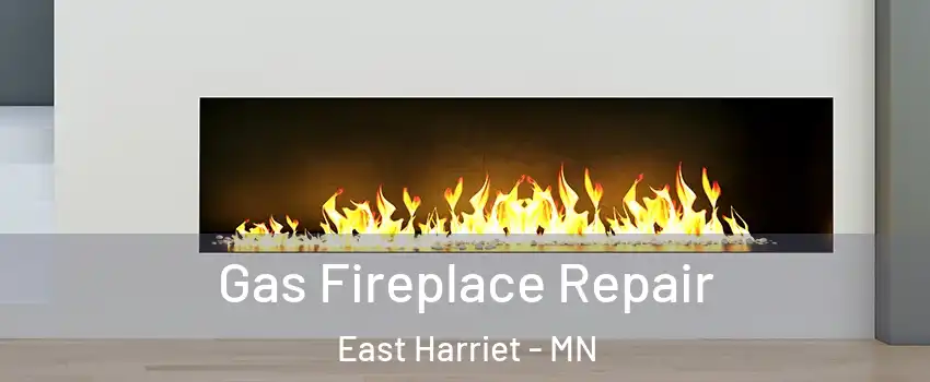 Gas Fireplace Repair East Harriet - MN