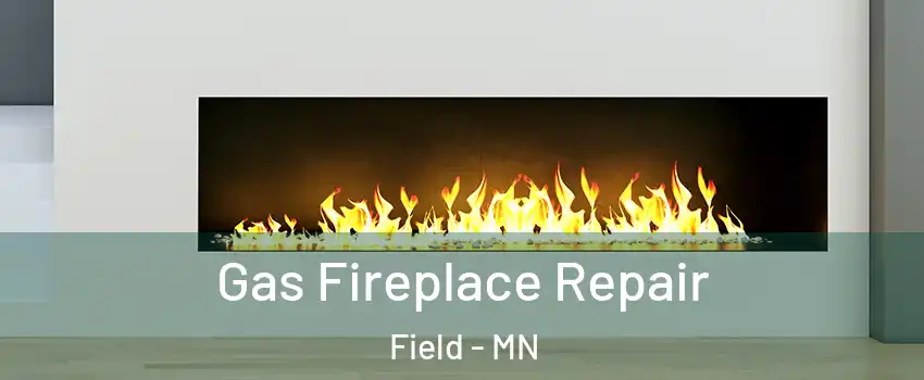 Gas Fireplace Repair Field - MN