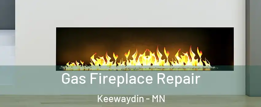 Gas Fireplace Repair Keewaydin - MN
