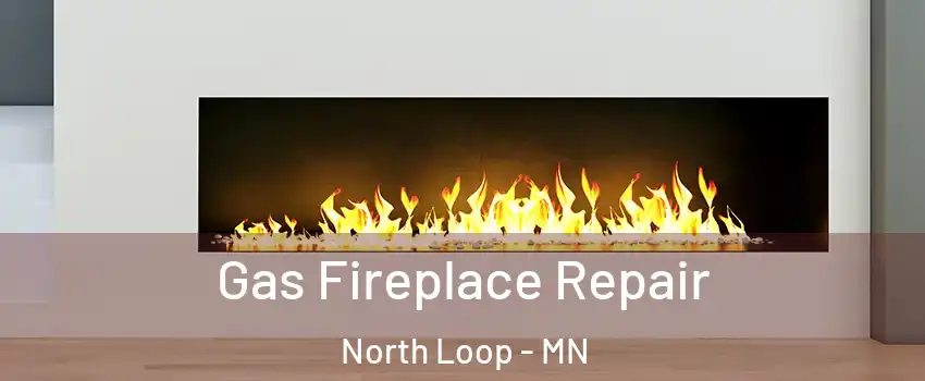 Gas Fireplace Repair North Loop - MN