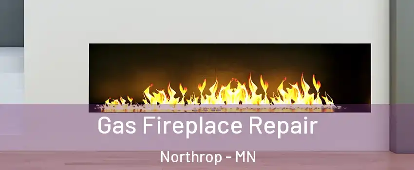 Gas Fireplace Repair Northrop - MN