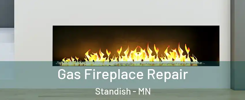 Gas Fireplace Repair Standish - MN