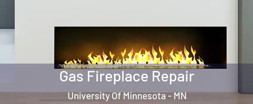 Gas Fireplace Repair University Of Minnesota - MN