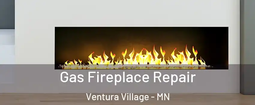 Gas Fireplace Repair Ventura Village - MN