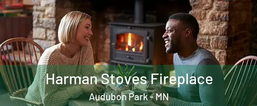 Harman Stoves Fireplace Audubon Park - MN