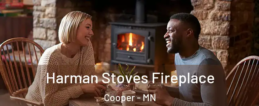 Harman Stoves Fireplace Cooper - MN