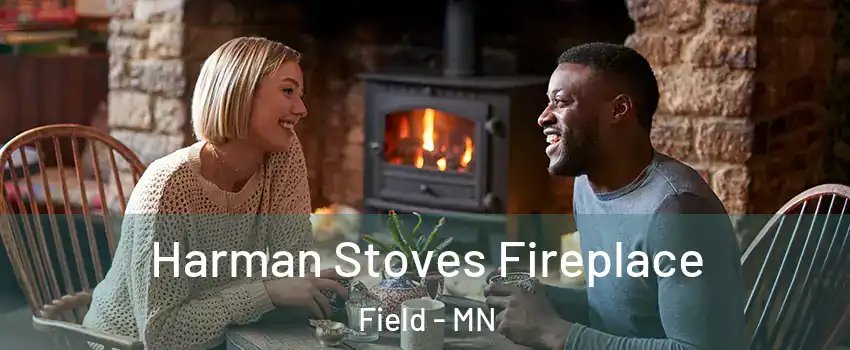 Harman Stoves Fireplace Field - MN