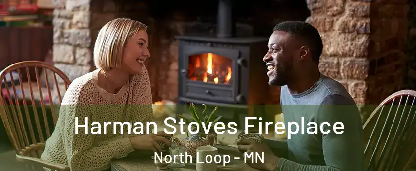 Harman Stoves Fireplace North Loop - MN