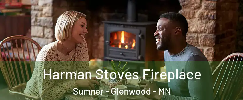 Harman Stoves Fireplace Sumner - Glenwood - MN