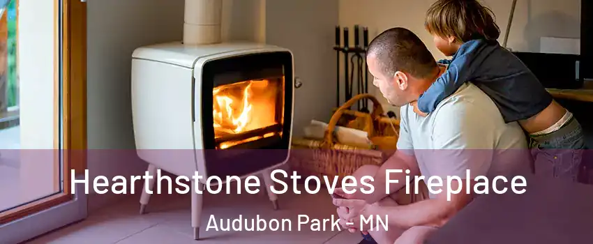 Hearthstone Stoves Fireplace Audubon Park - MN