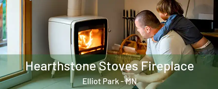 Hearthstone Stoves Fireplace Elliot Park - MN