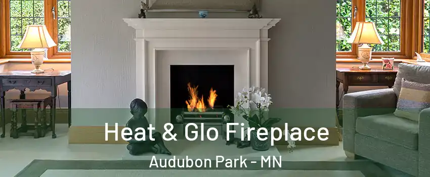Heat & Glo Fireplace Audubon Park - MN