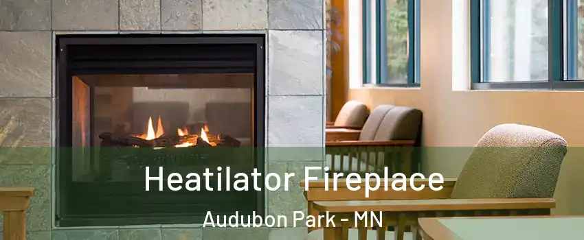 Heatilator Fireplace Audubon Park - MN