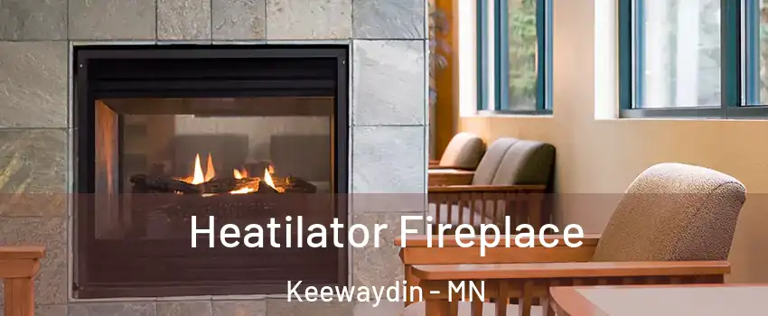 Heatilator Fireplace Keewaydin - MN
