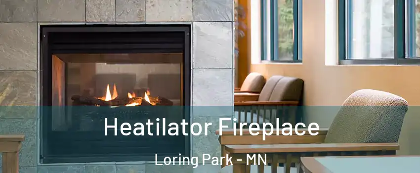 Heatilator Fireplace Loring Park - MN