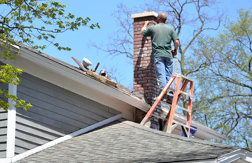 Chimney & Fireplace Inspections Services in Minneapolis, MN