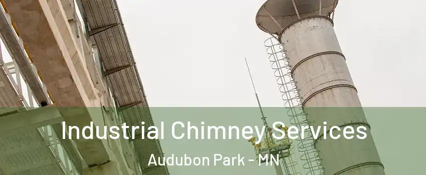 Industrial Chimney Services Audubon Park - MN