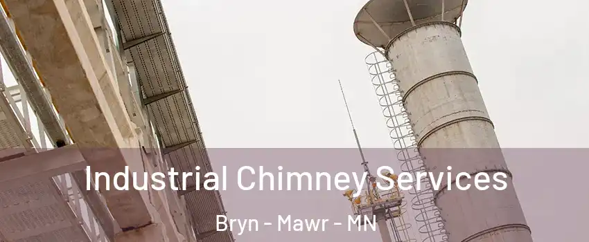 Industrial Chimney Services Bryn - Mawr - MN
