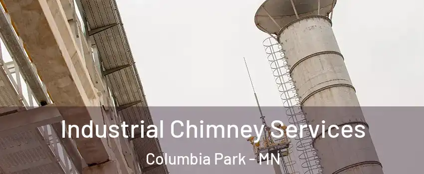 Industrial Chimney Services Columbia Park - MN