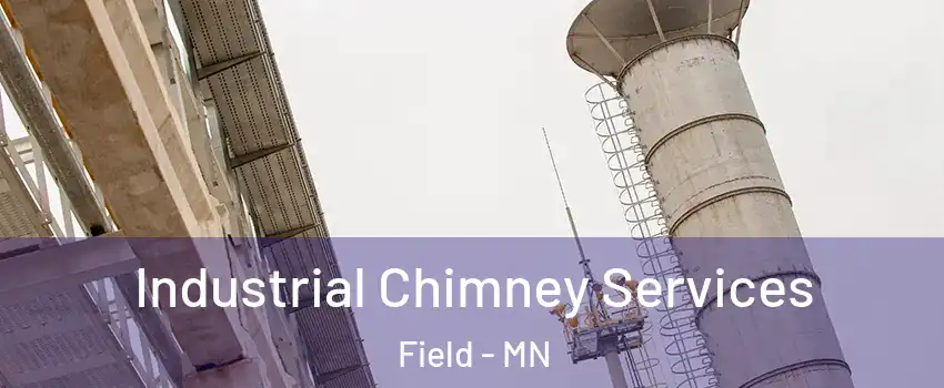 Industrial Chimney Services Field - MN