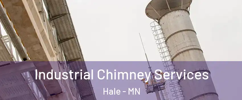 Industrial Chimney Services Hale - MN