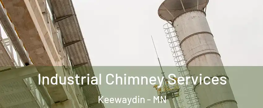 Industrial Chimney Services Keewaydin - MN
