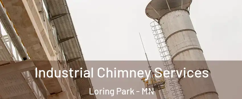 Industrial Chimney Services Loring Park - MN