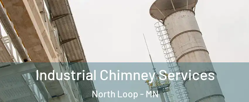 Industrial Chimney Services North Loop - MN