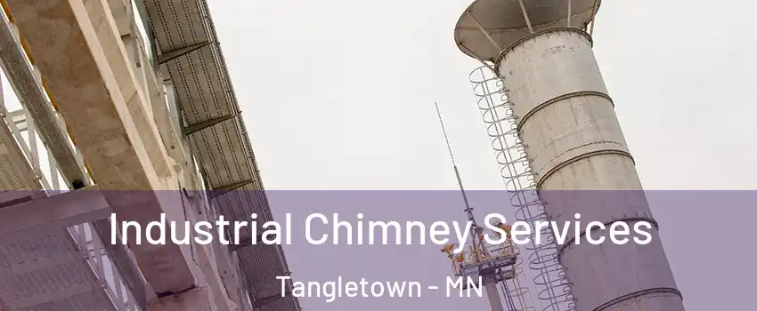 Industrial Chimney Services Tangletown - MN