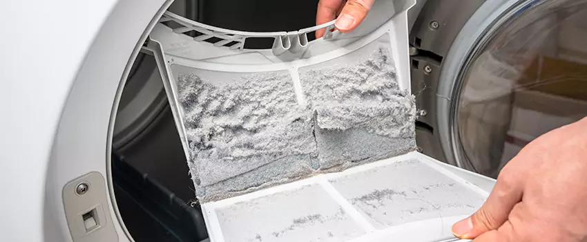 Best Dryer Lint Removal Company in Audubon Park, Minnesota