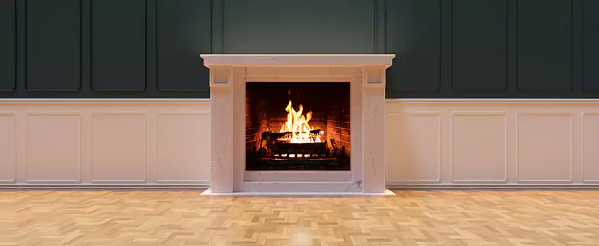 Napoleon Electric Fireplaces Inspection Service in Audubon Park, Minnesota
