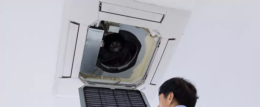 Benefits of Professional Air Duct Cleaning in Audubon Park, Minnesota
