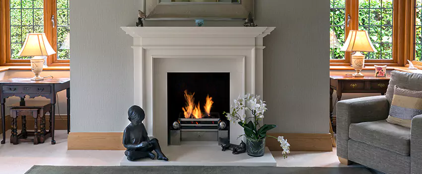 Astria Open-Hearth Wood Fireplaces Services in North Loop, MN