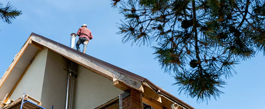Birds Removal Contractors from Chimney in Mid - City Industrial, MN